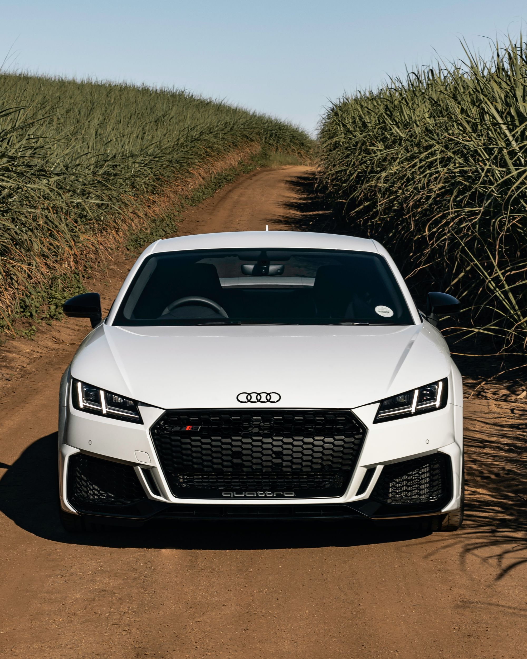 The Best Modifications for Audi RS Models